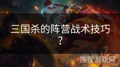 三国杀的阵营战术技巧？