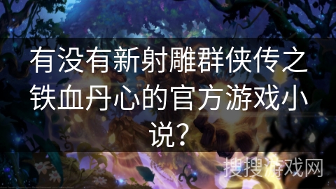 有没有新射雕群侠传之铁血丹心的官方游戏小说？