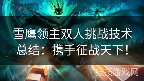 雪鹰领主双人挑战技术总结：携手征战天下！