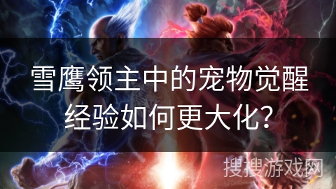 雪鹰领主中的宠物觉醒经验如何更大化？