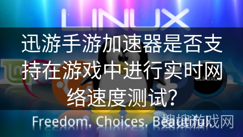 迅游手游加速器是否支持在游戏中进行实时网络速度测试？