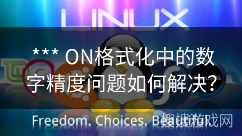  *** ON格式化中的数字精度问题如何解决？