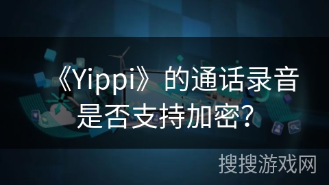 《Yippi》的通话录音是否支持加密？