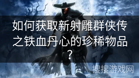如何获取新射雕群侠传之铁血丹心的珍稀物品？