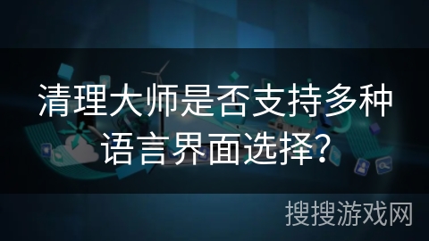 清理大师是否支持多种语言界面选择？