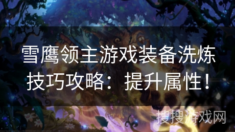雪鹰领主游戏装备洗炼技巧攻略：提升属性！