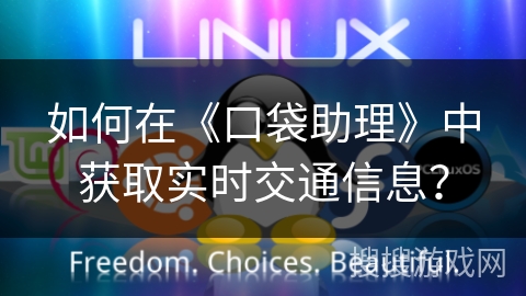 如何在《口袋助理》中获取实时交通信息？
