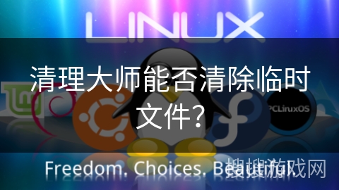 清理大师能否清除临时文件? 清理大师能否清除临时文件?