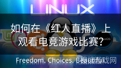 如何在《红人直播》上观看电竞游戏比赛？