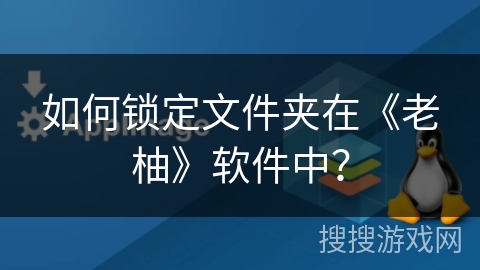 如何锁定文件夹在《老柚》软件中？