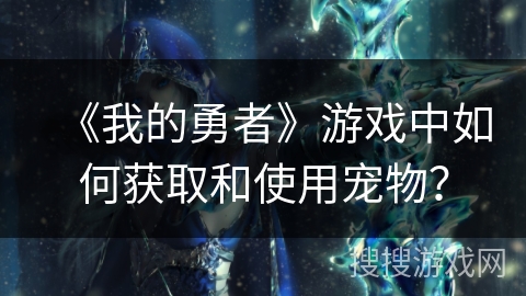 《我的勇者》游戏中如何获取和使用宠物？