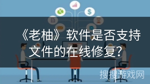 《老柚》软件是否支持文件的在线修复？