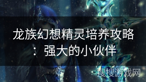 龙族幻想精灵培养攻略：强大的小伙伴