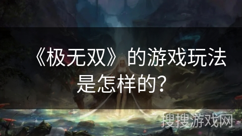 《极无双》的游戏玩法是怎样的? 《极无双》的游戏玩法是怎样的?