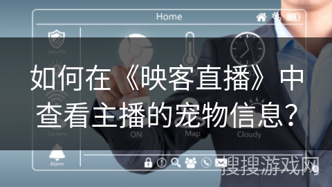 如何在《映客直播》中查看主播的宠物信息？