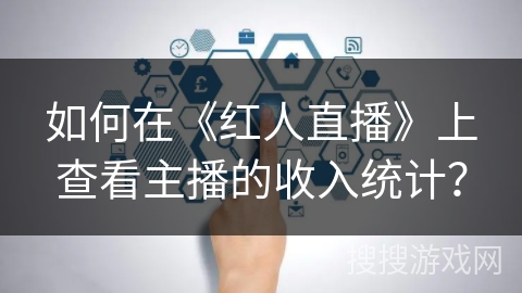 如何在《红人直播》上查看主播的收入统计？