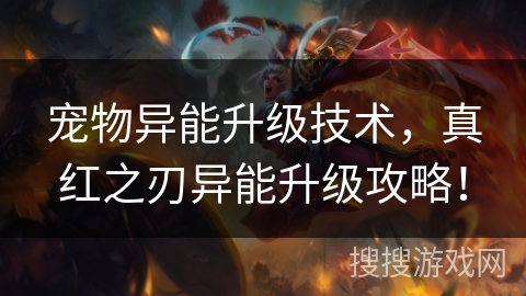 宠物异能升级技术，真红之刃异能升级攻略！