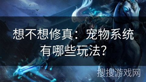 想不想修真：宠物系统有哪些玩法？