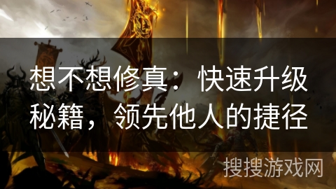 想不想修真：快速升级秘籍，领先他人的捷径