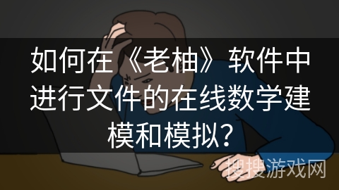 如何在《老柚》软件中进行文件的在线数学建模和模拟？
