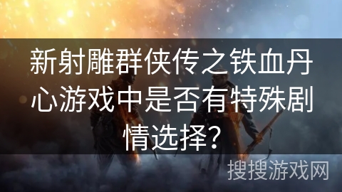新射雕群侠传之铁血丹心游戏中是否有特殊剧情选择？