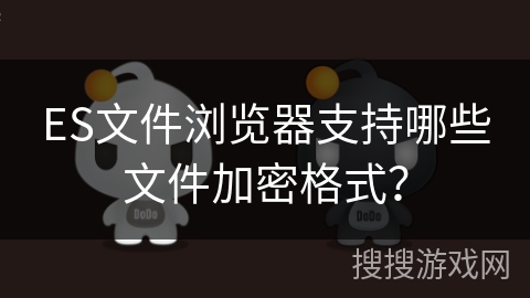 ES文件浏览器支持哪些文件加密格式？