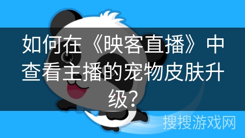 如何在《映客直播》中查看主播的宠物皮肤升级？
