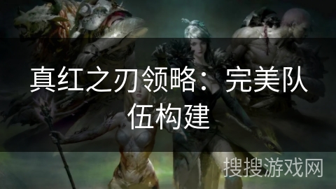 真红之刃领略：完美队伍构建