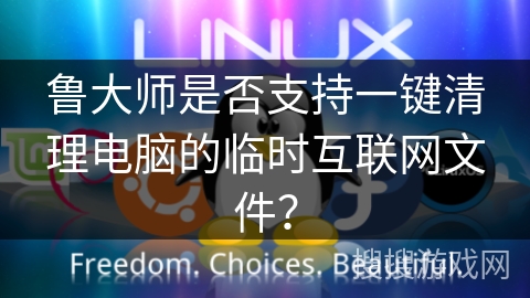 鲁大师是否支持一键清理电脑的临时互联网文件？