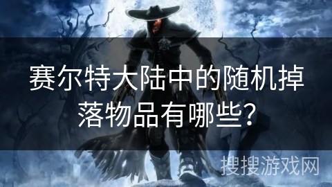 赛尔特大陆中的随机掉落物品有哪些？