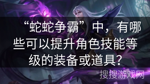 “蛇蛇争霸”中，有哪些可以提升角色技能等级的装备或道具？