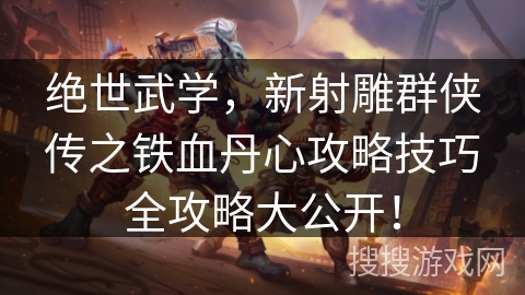 绝世武学，新射雕群侠传之铁血丹心攻略技巧全攻略大公开！