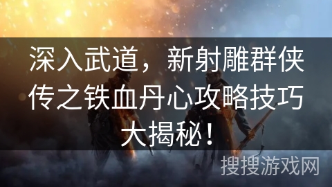 深入武道，新射雕群侠传之铁血丹心攻略技巧大揭秘！
