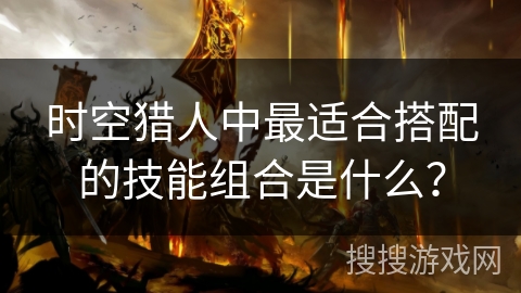 时空猎人中最适合搭配的技能组合是什么？
