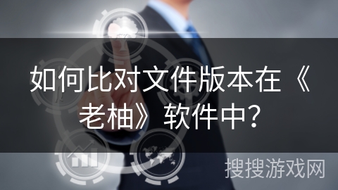 如何比对文件版本在《老柚》软件中？