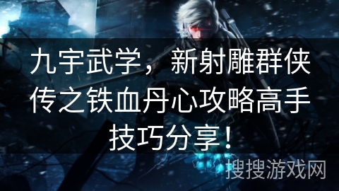 九宇武学，新射雕群侠传之铁血丹心攻略高手技巧分享！