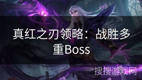 真红之刃领略：战胜多重Boss