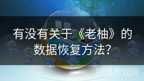 有没有关于《老柚》的数据恢复方法？