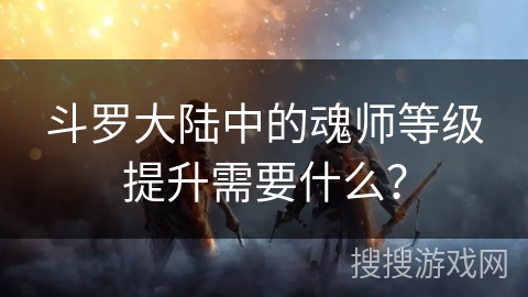 斗罗大陆中的魂师等级提升需要什么？