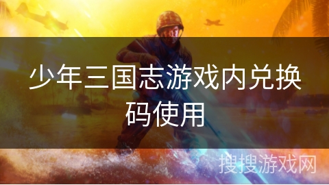 少年三国志游戏内兑换码使用