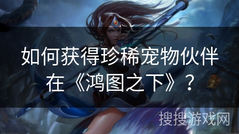 如何获得珍稀宠物伙伴在《鸿图之下》？