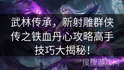 武林传承，新射雕群侠传之铁血丹心攻略高手技巧大揭秘！