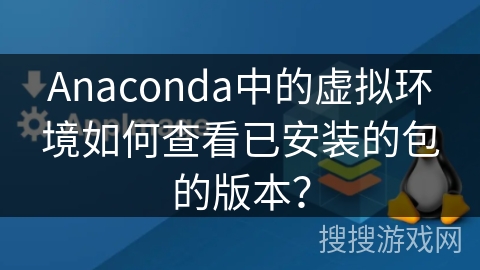 Anaconda中的虚拟环境如何查看已安装的包的版本？