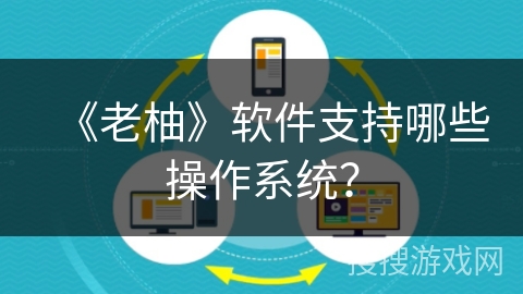 《老柚》软件支持哪些操作系统？