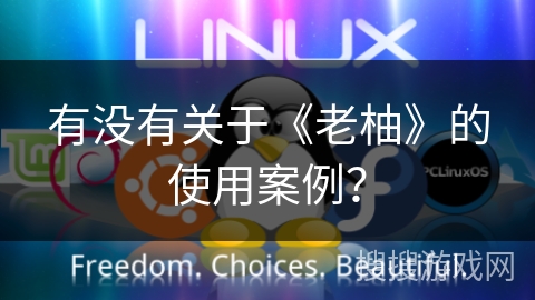 有没有关于《老柚》的使用案例？
