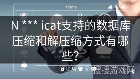N *** icat支持的数据库压缩和解压缩方式有哪些？