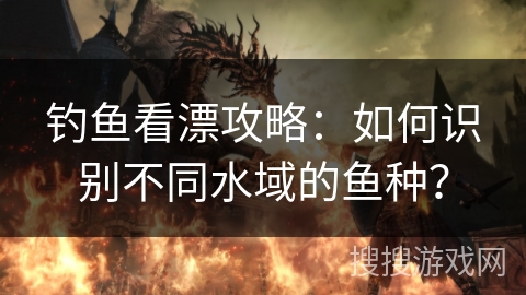 钓鱼看漂攻略：如何识别不同水域的鱼种？