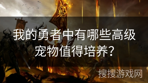 我的勇者中有哪些高级宠物值得培养？