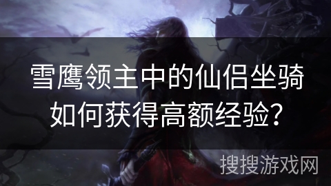 雪鹰领主中的仙侣坐骑如何获得高额经验？