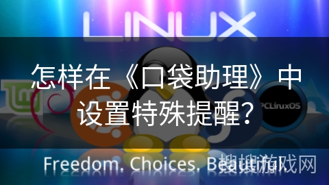 怎样在《口袋助理》中设置特殊提醒？